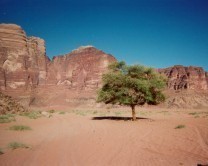 wadi-rum.jpg